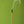 Load image into Gallery viewer, Incognito - Chill The F*ck Out Incense Set

