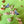 Load image into Gallery viewer, RatBeanKat - Little pigeon earrings
