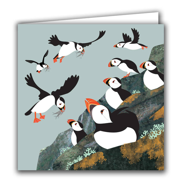 Silver Birch Cards - Blank Greeting Card - 'Puffin Colony'