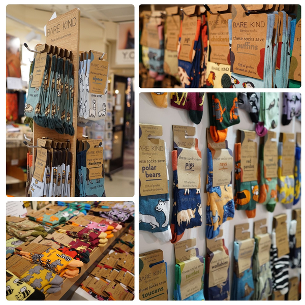 Bare Kind Socks - Puffin Socks | Bamboo Socks | Pink Socks | Atlantic Socks