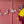 Load image into Gallery viewer, Beth Goodwin Designs - Pigeon Garland/Bunting - Pigeon Deocrations For Parties
