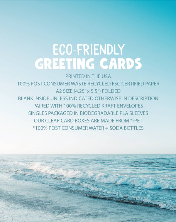 Modern Printed Matter - Find Joy in Garbage Seagulls Holiday Card - Box of 8