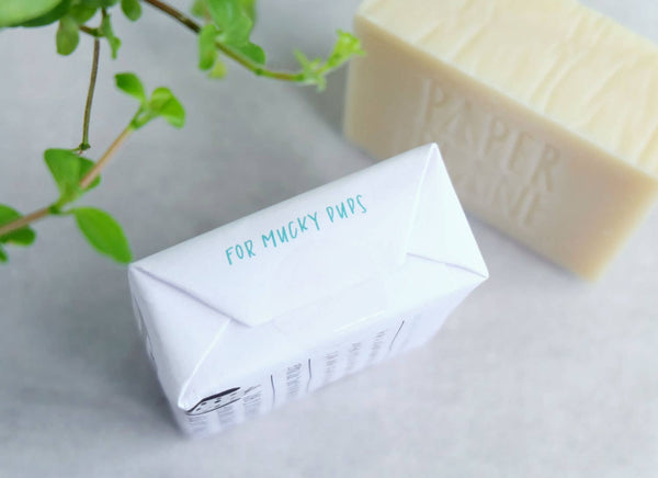 Paper Plane - Dog Shampoo 100% Natural Vegan