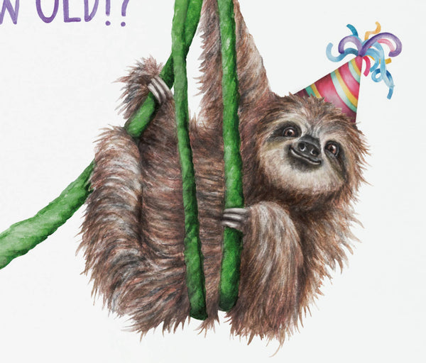 Citrus Bunn - Hang On How Old? - Funny Sloth Greetings Card