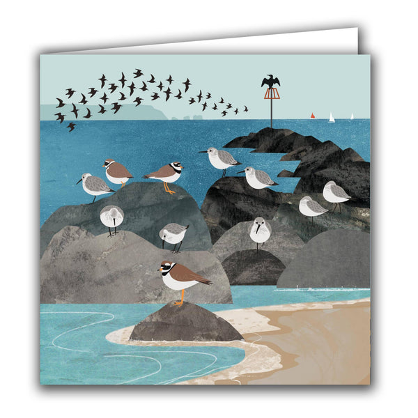 Silver Birch Cards - Blank Greeting Card - 'Dunlin and Ringed Plover'