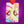 Load image into Gallery viewer, Little Pigeon wooden earrings

