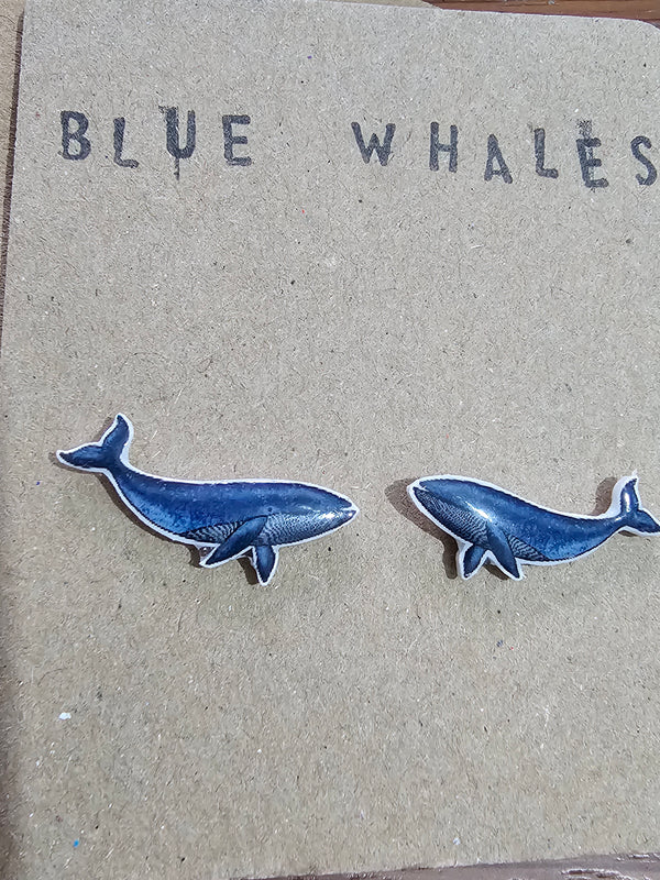 Little blue whales earrings set