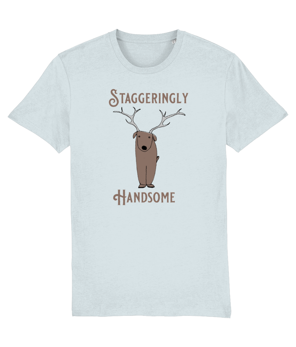 T-shirt - Staggeringly Handsome!