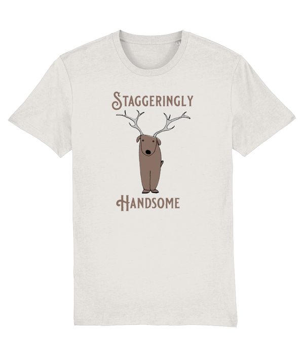 T-shirt - Staggeringly Handsome!