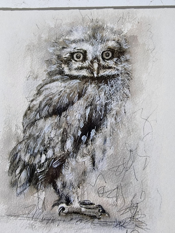 OwlGreeting Card - Julie Westwood