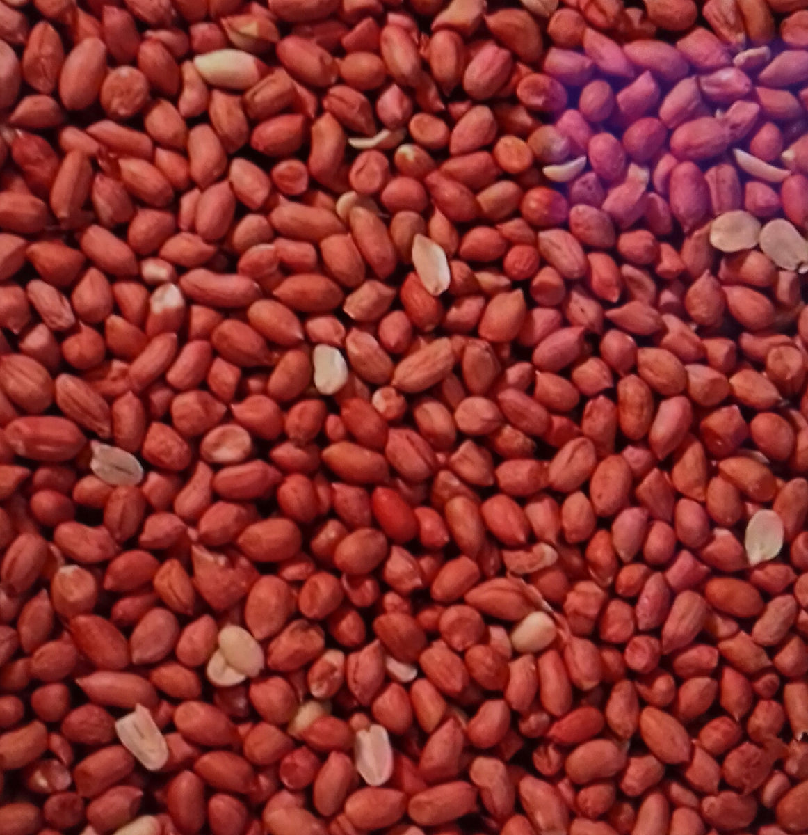 A donation for Peanuts - DONATION of a bag of peanuts to our chosen sa ...