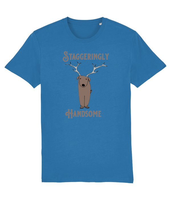T-shirt - Staggeringly Handsome!