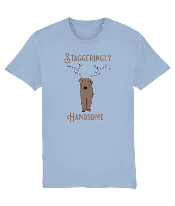 T-shirt - Staggeringly Handsome!
