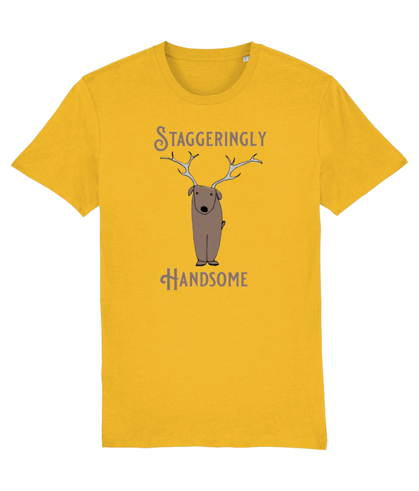 T-shirt - Staggeringly Handsome!
