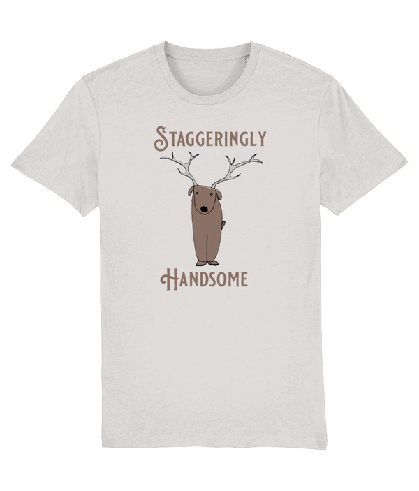 T-shirt - Staggeringly Handsome!