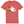 Load image into Gallery viewer, T-shirt - Gay Pride Pigeon
