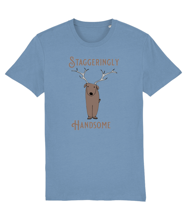T-shirt - Staggeringly Handsome!