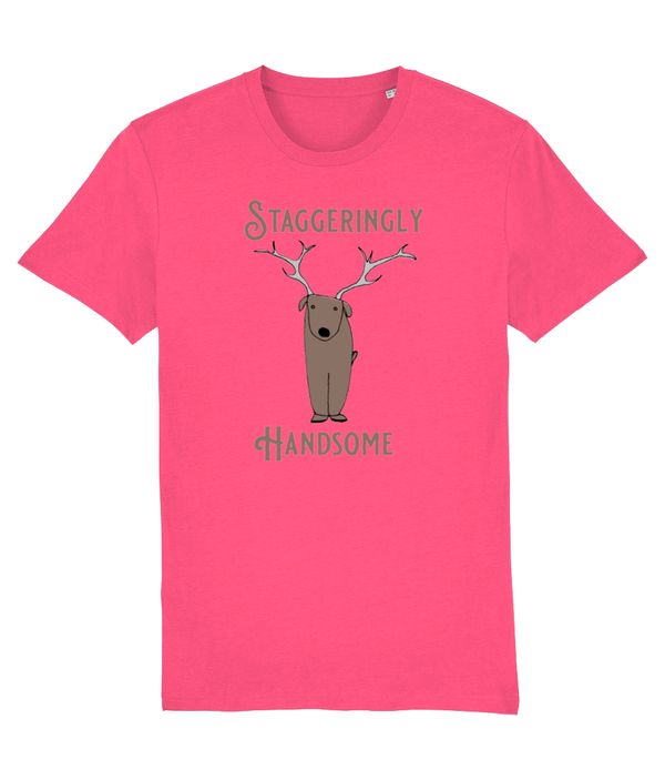T-shirt - Staggeringly Handsome!