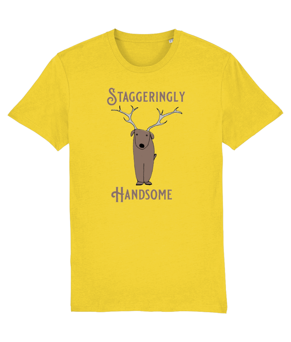 T-shirt - Staggeringly Handsome!