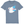Load image into Gallery viewer, T-shirt - Trans Flag Pigeon

