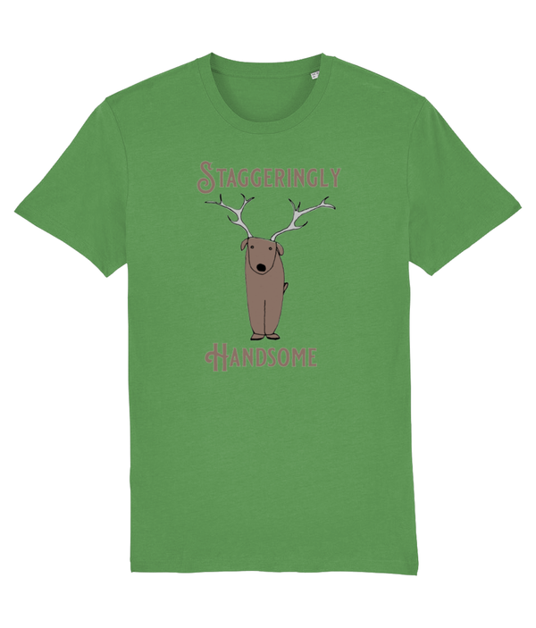 T-shirt - Staggeringly Handsome!