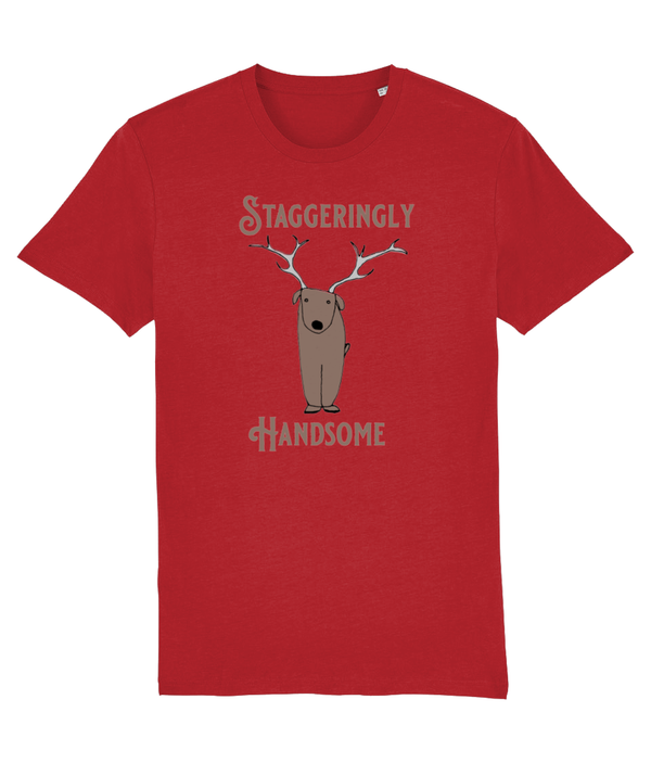 T-shirt - Staggeringly Handsome!