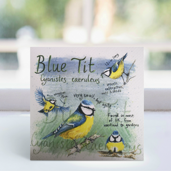 Blue Tit Greeting Card - Ginger Bee art