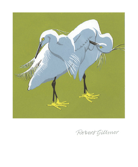 Preening Egrets - Robert Gillmor