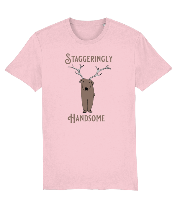 T-shirt - Staggeringly Handsome!