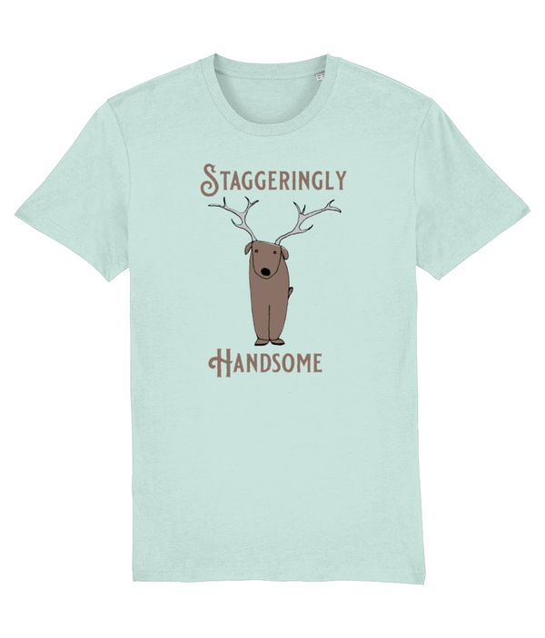 T-shirt - Staggeringly Handsome!