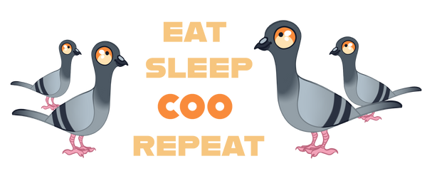 500ml Water Bottle 'Eat sleep coo repeat' LGP