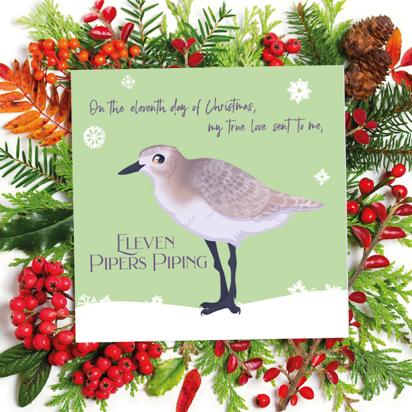 12 Birds of Christmas - 11 Pipers Piping - Sandpiper