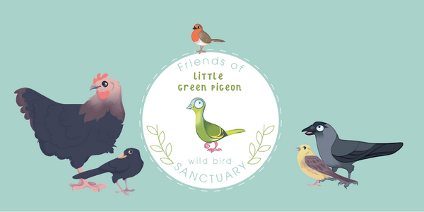 £5.00 Bird Sanctuary donation