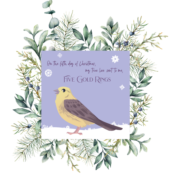 12 Birds of Christmas - 5 gold rings - Yellowhammer