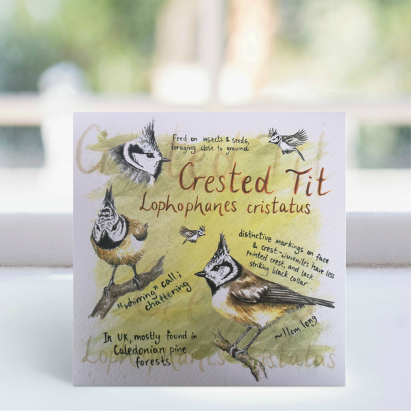 Crested Tit Greeting Card - Ginger Bee art