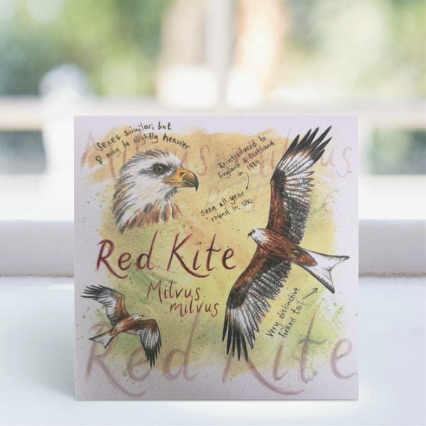 Red Kite Greeting Card - Ginger Bee art