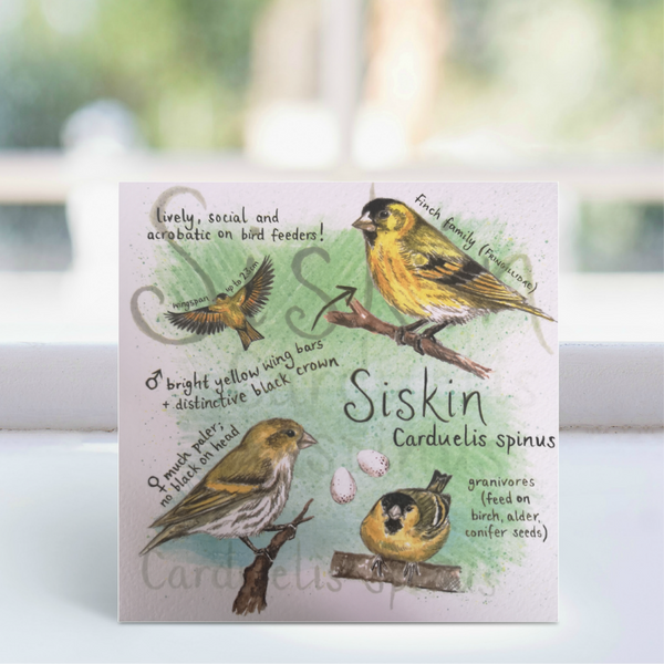 Siskin Greeting Card - Ginger Bee art