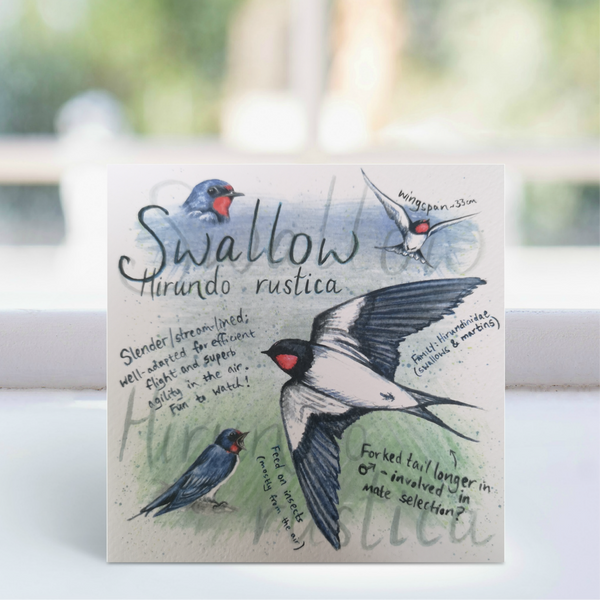 Swallow Greeting Card - Ginger Bee art