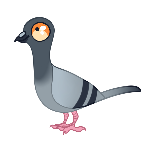 Pigeon acrylic pin