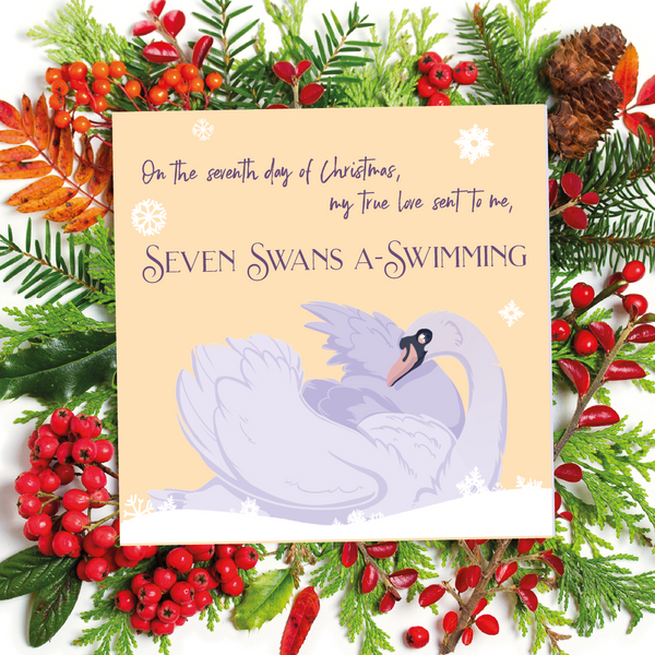 12 Birds of Christmas -7 Swans a swimming