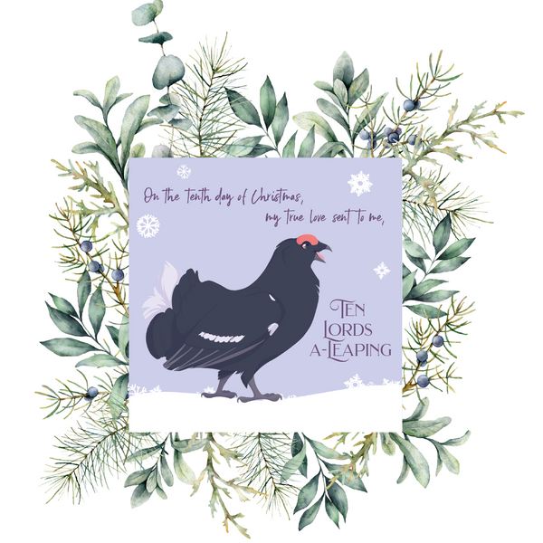 12 days of Christmas Birds - Pack of all 12 cards