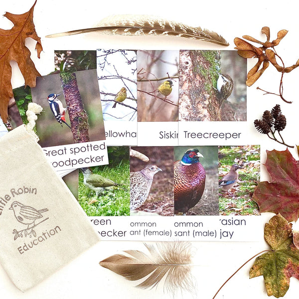 Woodland Birds Flashcards