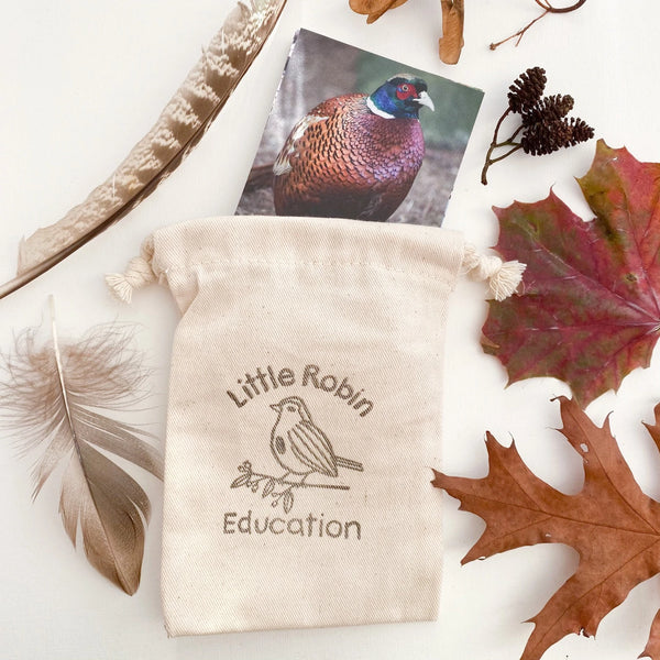 Woodland Birds Flashcards