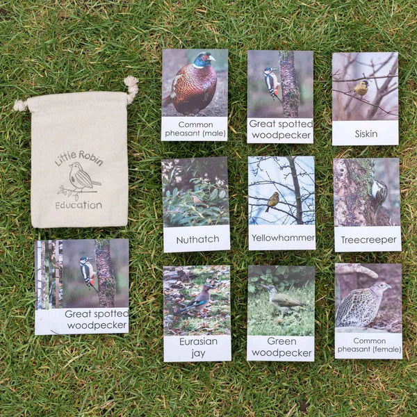 Woodland Birds Flashcards